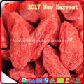 2017 New Harvest Dried Goji Berry Original Ningxia wolfberry Venta a granel